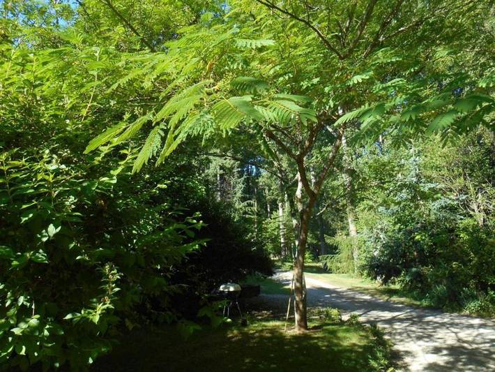 Location de vacances pour 2 personnes, avec jardin à Souvigny-de-Touraine - 2