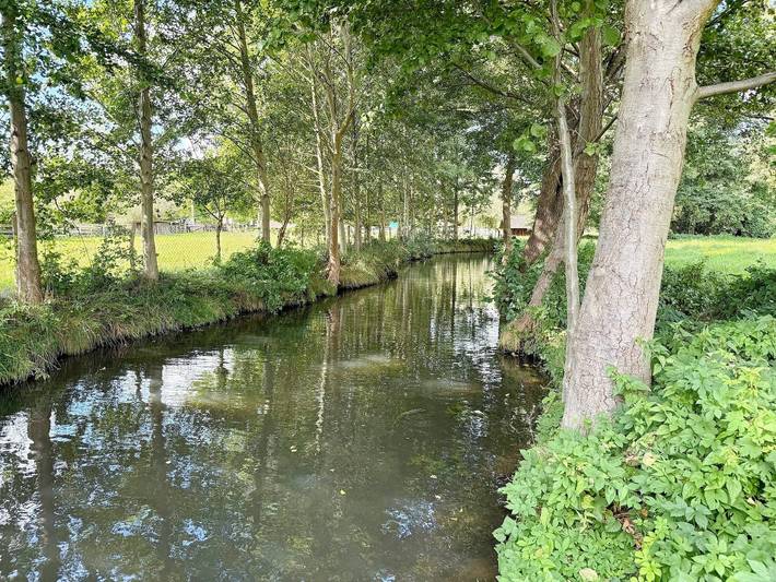 Ferienwohnung für 4 Personen, mit Garten und Terrasse, mit Haustier in Burg (Spreewald) - 3
