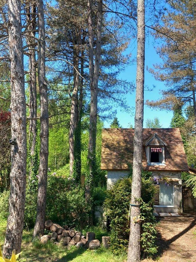 Chambre d’hôte pour 3 personnes, avec piscine et vue ainsi que jardin et terrasse, animaux acceptés dans Loiret - 4