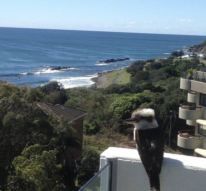 Holiday rental for 2 people, with pool and garden in Forster