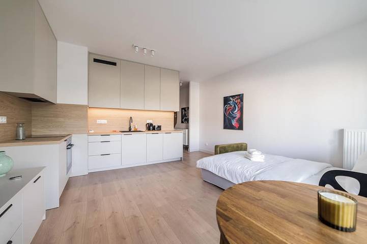 Ganze Wohnung, Hawelańska schickes Studio in Posen, Großpolen