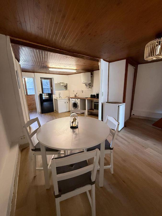 Appartement entier, Face au chateau in Vizille, Isère