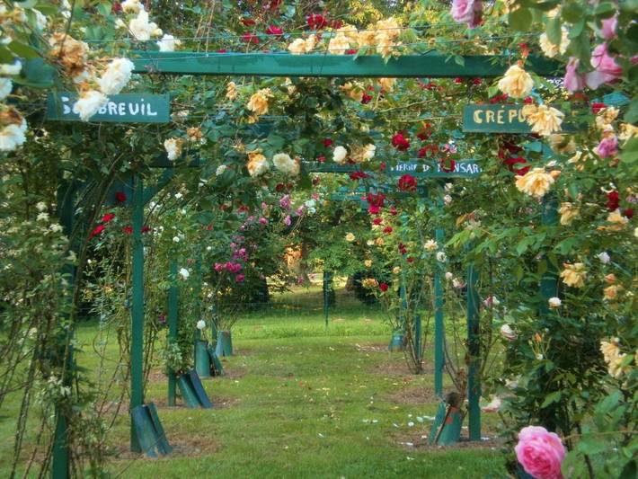 Location de vacances pour 2 personnes, avec vue et jardin à Mareuil-sur-Lay-Dissais - 2