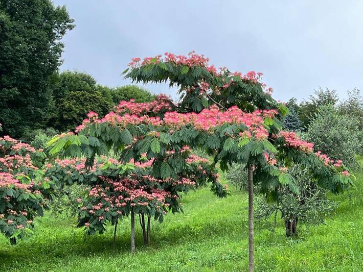 Gîte pour 2 personnes, avec vue et jardin à Manta - 4