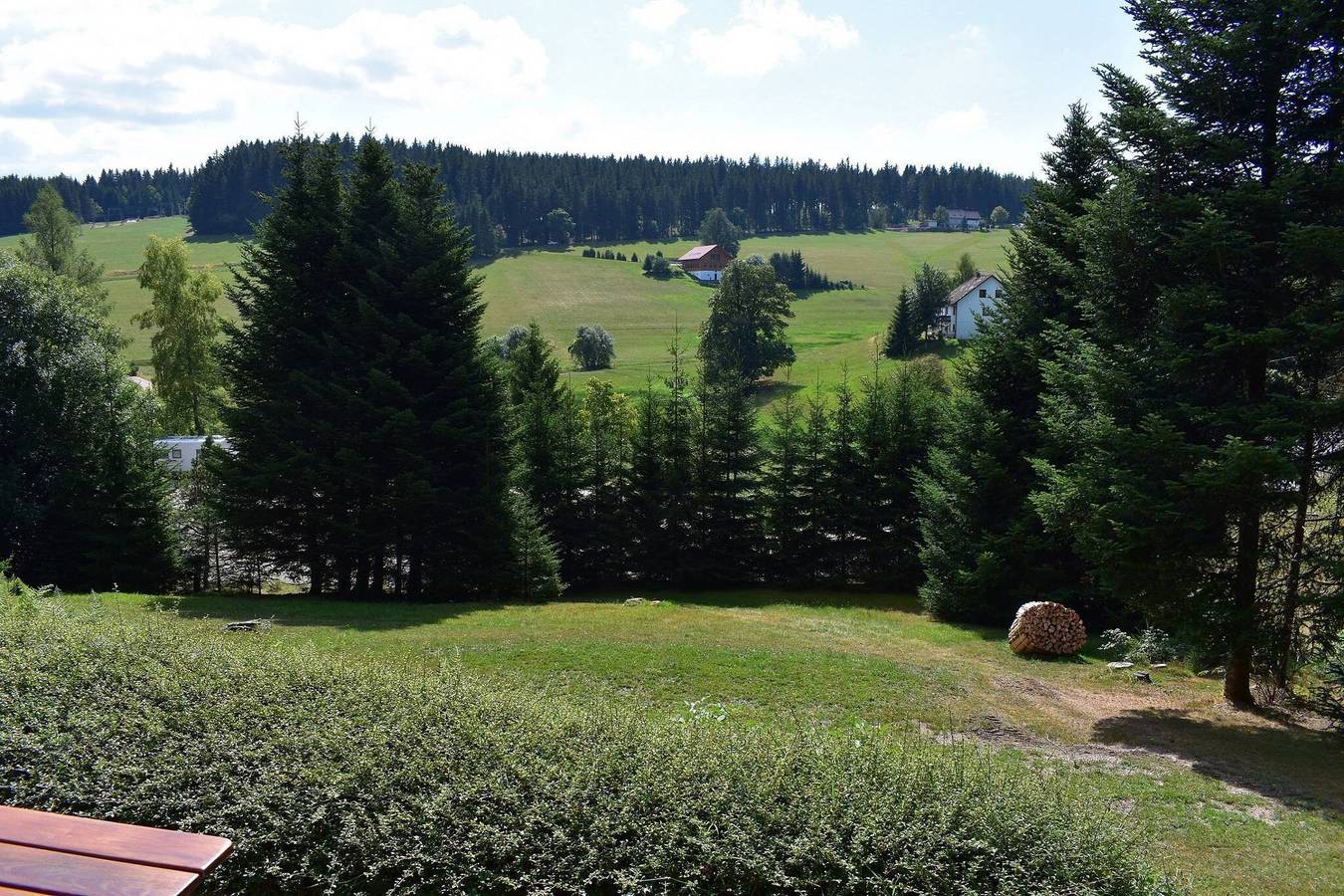 Ganze Wohnung, Ferienwohnung Tanne - gegenüber vom Ski-Lift mit eigener Terrasse, Garten und Blick ins Grüne in Schönwald, Südschwarzwald