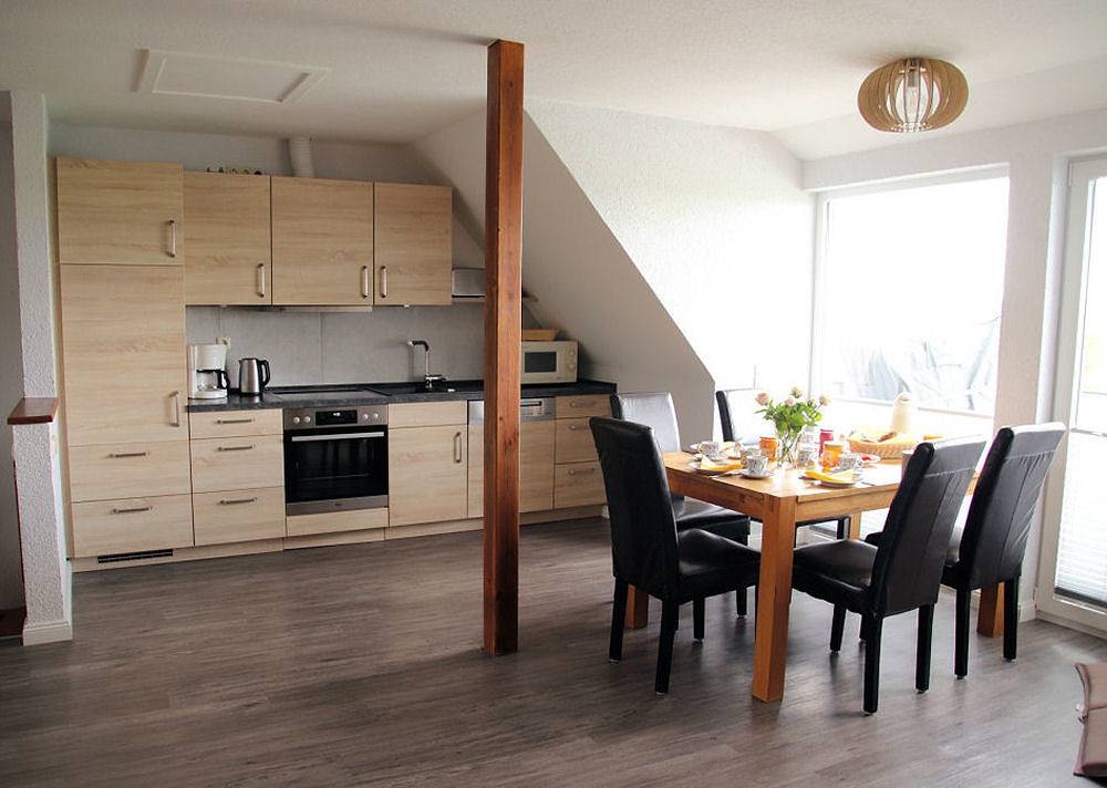 Sonnenblume in Westfehmarn, Fehmarn