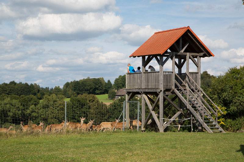 Scheidlerhof - Appartement Waldnaab (45qm) mit kostenfreiem Wlan in Theisseil, Naturpark Nördlicher Oberpfälzer Wald