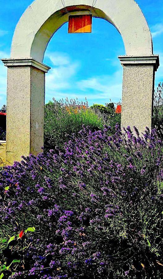 Dreamly Suites Oslip in Leithaberg