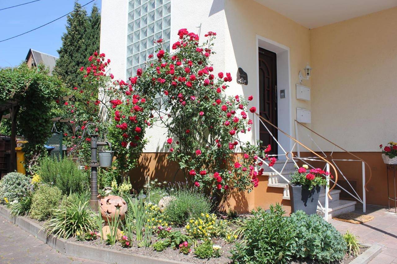 Ganze Wohnung, Two-Bedroom Apartment in Kamp-Bornhofen, Mittelrhein