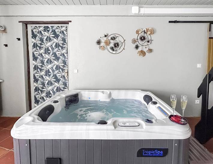 Gîte pour 2 personnes, avec jacuzzi et piscine, animaux acceptés à Verfeil - 3