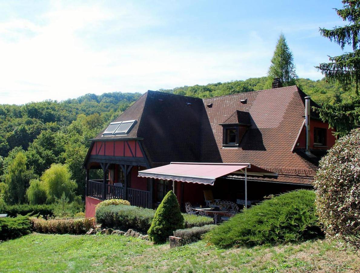 Chalet Les Terrasses d'Albé 6P Montages & Vignes in Albé, Région de Sélestat-Erstein