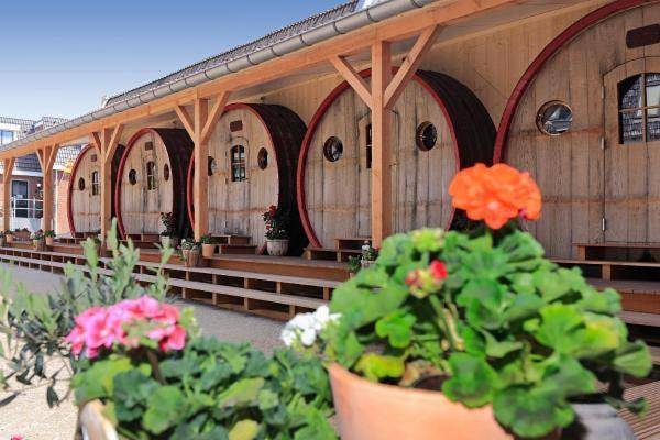 Hotel für 3 Personen, mit Terrasse und Garten in Stavoren - 2