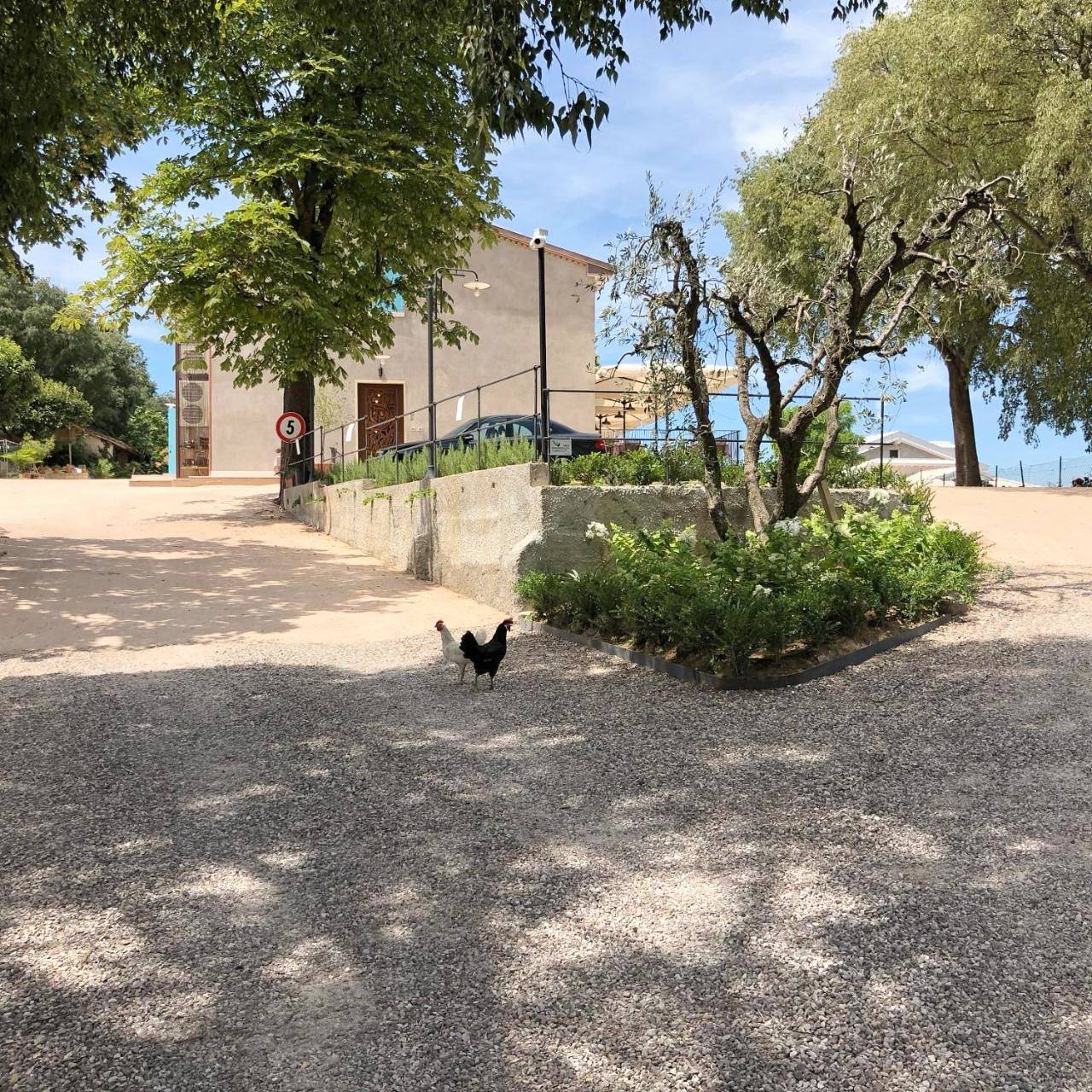 Agriturismo2laghi in Ponti sul Mincio, Prealpi Gardesane
