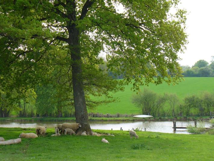 Escapada Rural con Piscina, Jardín y Actividades para Niños in Vigoulant, Región de La Châtre