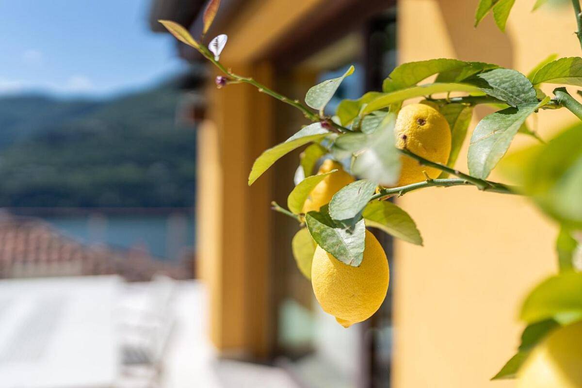 Luxury Como Lake - Luxury Villa with Infinity Pool in Cazzanore (Blevio), Blevio