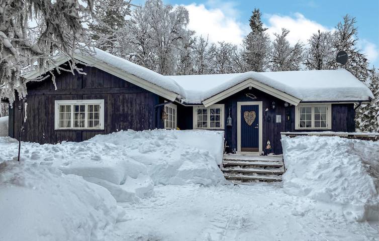 Feriehus for 7 personer, med terrasse og hage, dyr tillatt i Gol