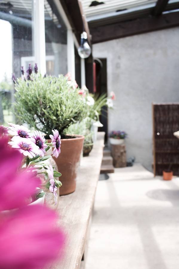 Bauernhof für 2 Personen, mit Balkon/Terrasse und Terrasse sowie Garten in Franken - 4