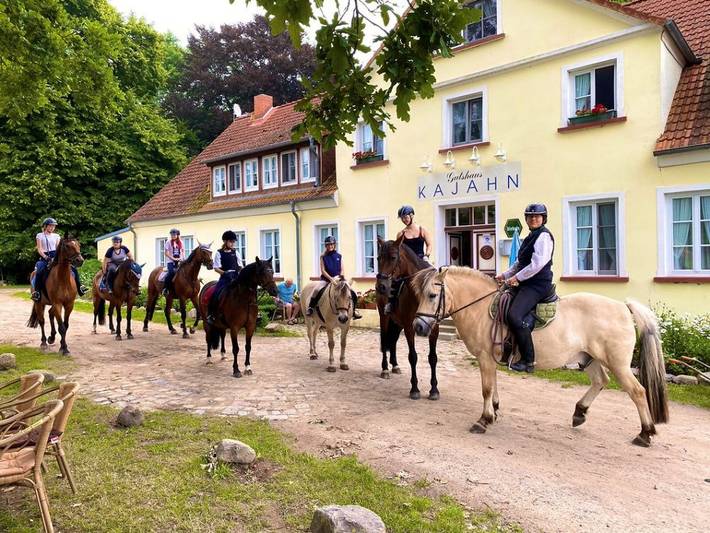 Hotel für 4 Personen, mit Garten, kinderfreundlich in Gustow - 3
