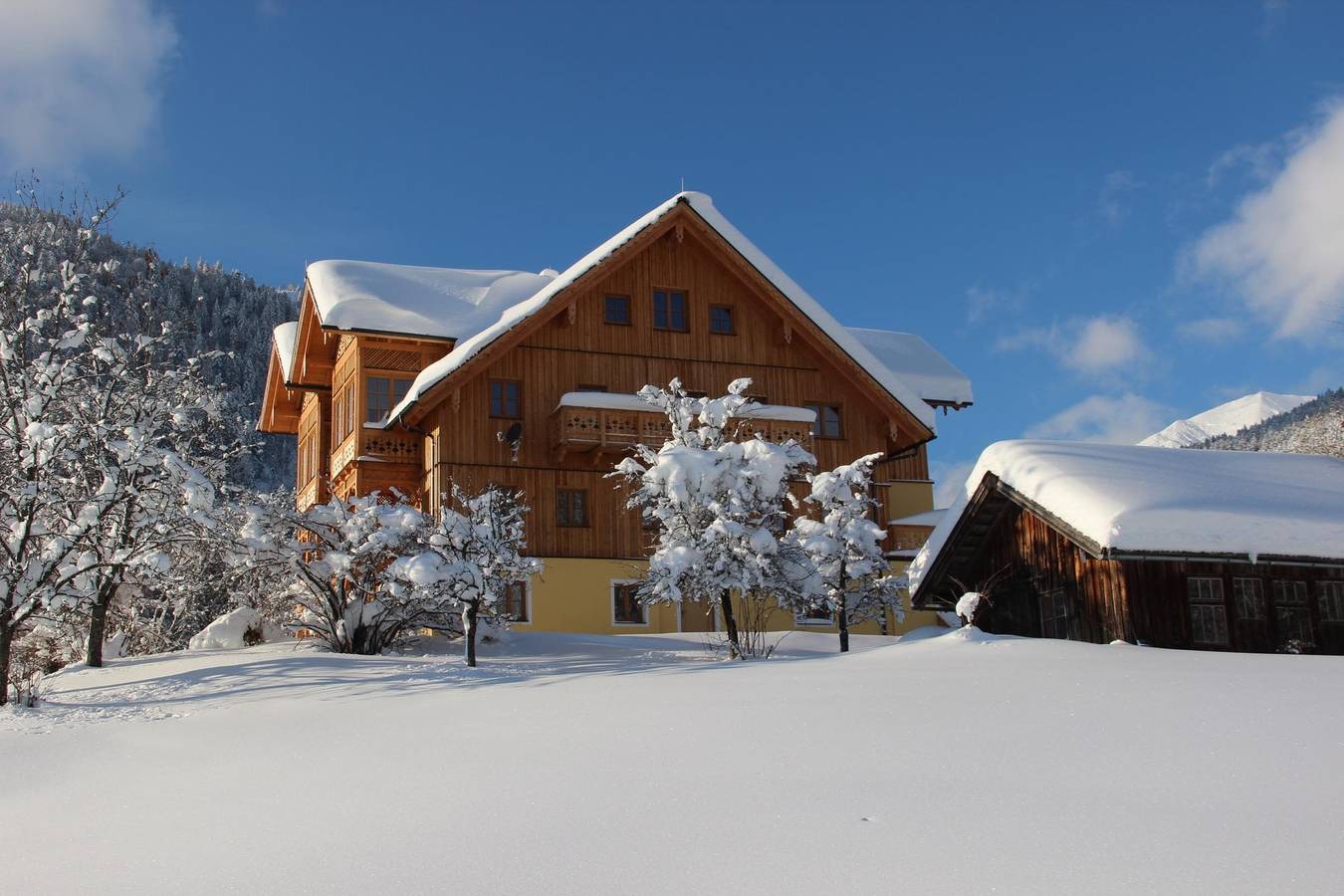 Ganze Ferienwohnung, Penthouse Oberweiglhof in Salzkammergut-Berge, Rußbach am Paß Gschütt