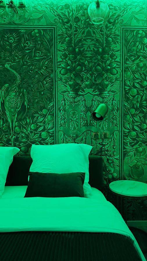 Gîte pour 2 personnes, avec jacuzzi à Roubaix - 4