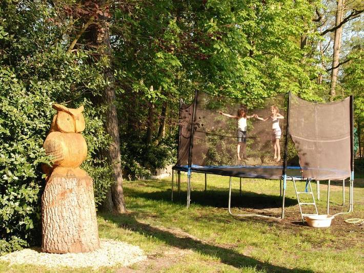 Ferienhaus für 5 Personen, mit Terrasse und Garten in Schneverdingen - 4