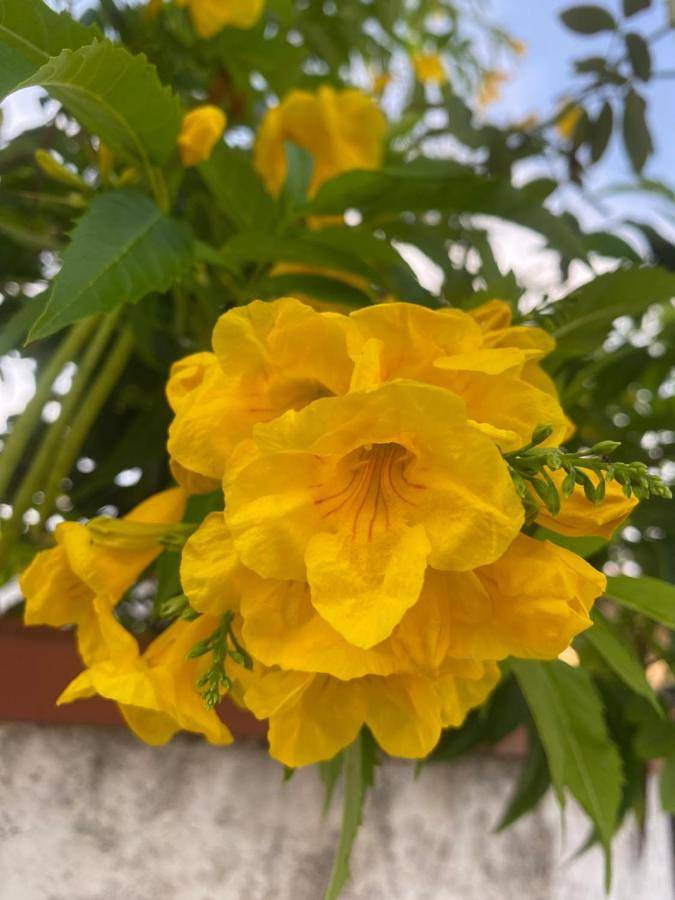 Gîte pour 2 personnes, avec terrasse et vue à San Felice Circeo - 2