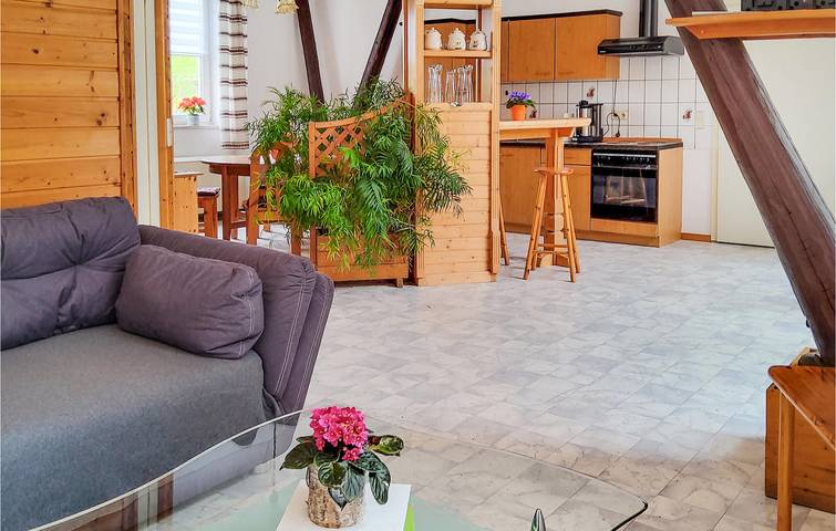 Ferienwohnung für 6 Personen, mit Garten und Terrasse, kinderfreundlich in Reinhardtsdorf-Schöna - 4