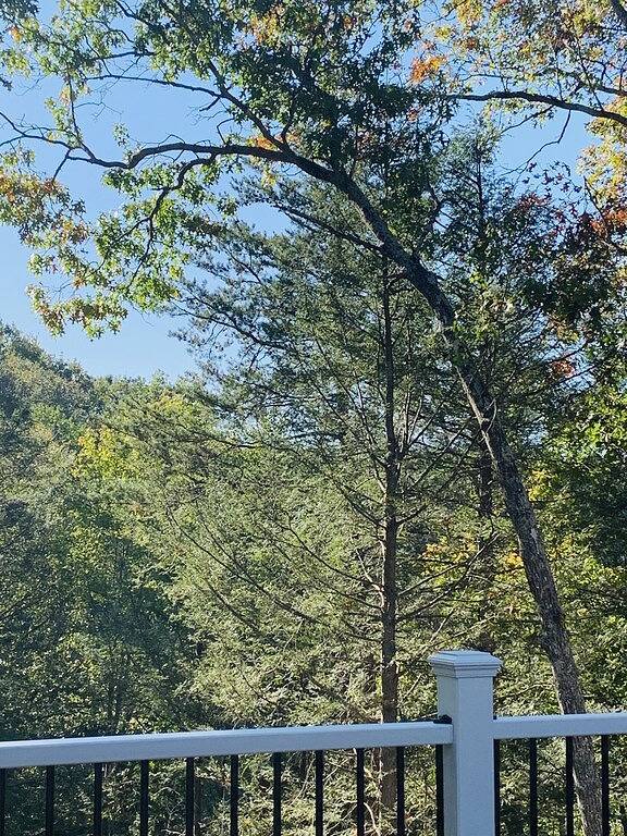 Cozy Hot Tub Cottage! in Daniel Boone National Forest