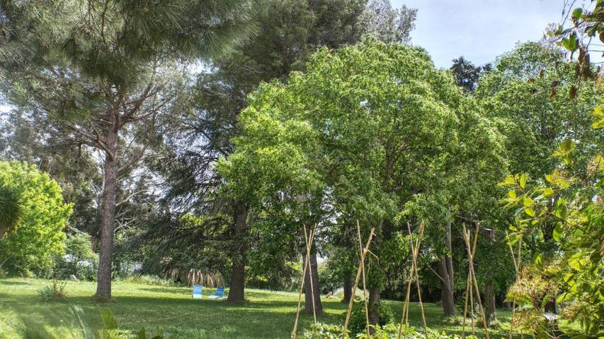 Gîte pour 4 personnes, avec terrasse, animaux acceptés à Latour-Bas-Elne - 2