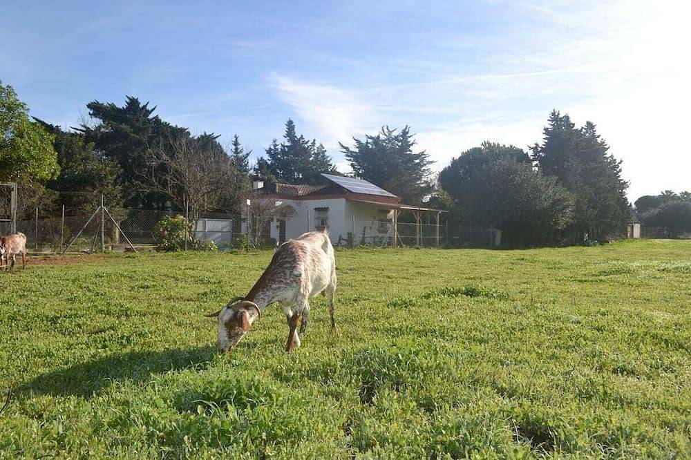 Rural house in the middle of nature in Chiclana de la Frontera, Costa de la Luz