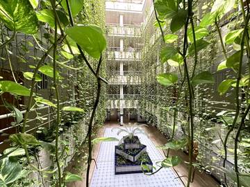 Appartamento per 5 Persone in Torrevieja Centre, Torrevieja, Foto 2