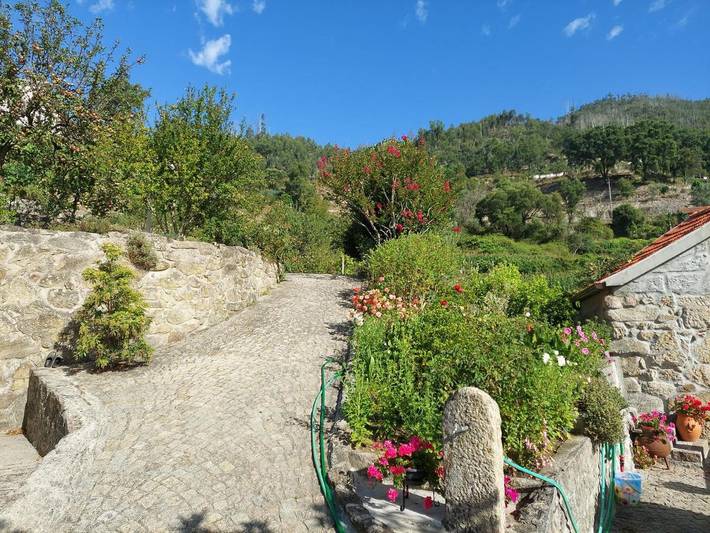 Gîte pour 2 personnes, avec jardin à Oliveira de Frades - 3