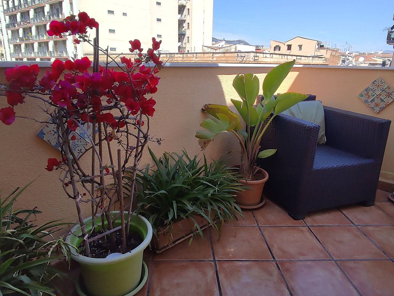 Appartamento intero, Wohnung mit Terrasse in Palermo, Provincia di Palermo