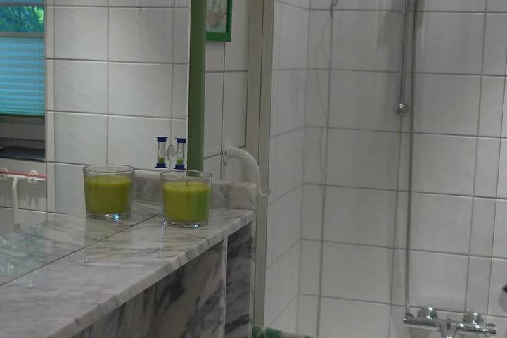 Ferienhaus für 6 Personen, mit Terrasse und Garten, mit Haustier am Dümmer See (Niedersachsen) - 4