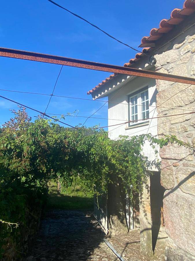 Location de vacances pour 9 personnes, avec jardin, animaux acceptés à Vila Praia de Ancora - 4