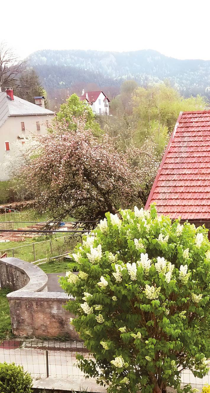 Chambre d’hôte pour 3 personnes, avec Jardin dans l' Ain