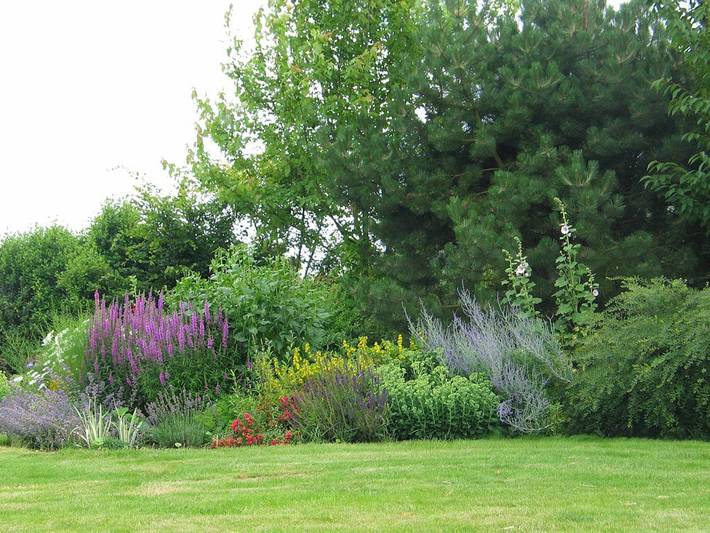 Chambre d’hôte pour 2 personnes, avec jardin dans les Pays de la Loire - 2