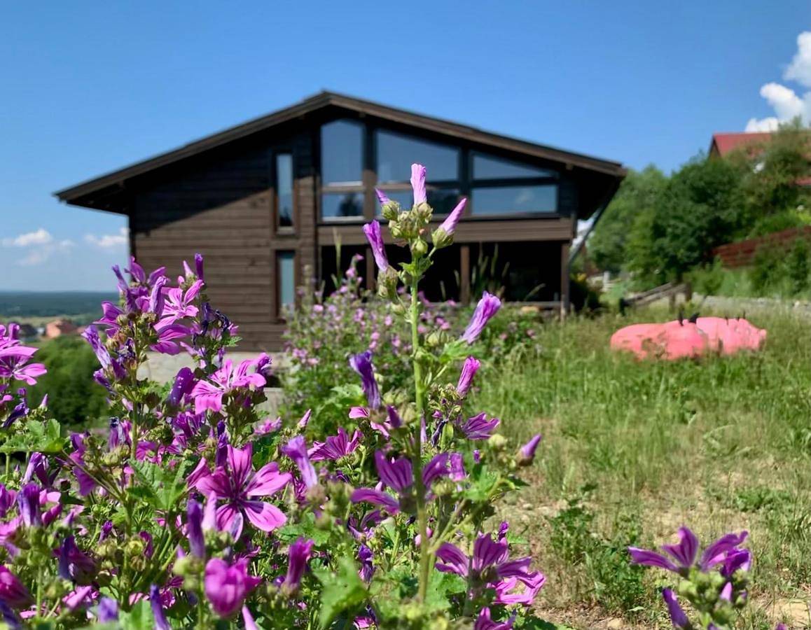 Koza U Woza - drewniany dom premium z widokiem na Tatry ecospa strefa fitness Zielona Farma healinggarden - slowtravel 24h self check-in in Karpaty (Polska)