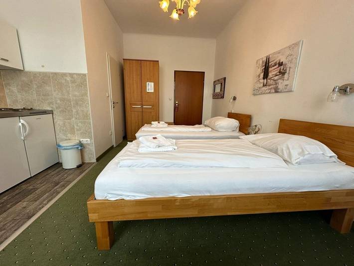 Ganze Ferienwohnung, Mariazellerhof Room 106 in St. Pölten, Mostviertel