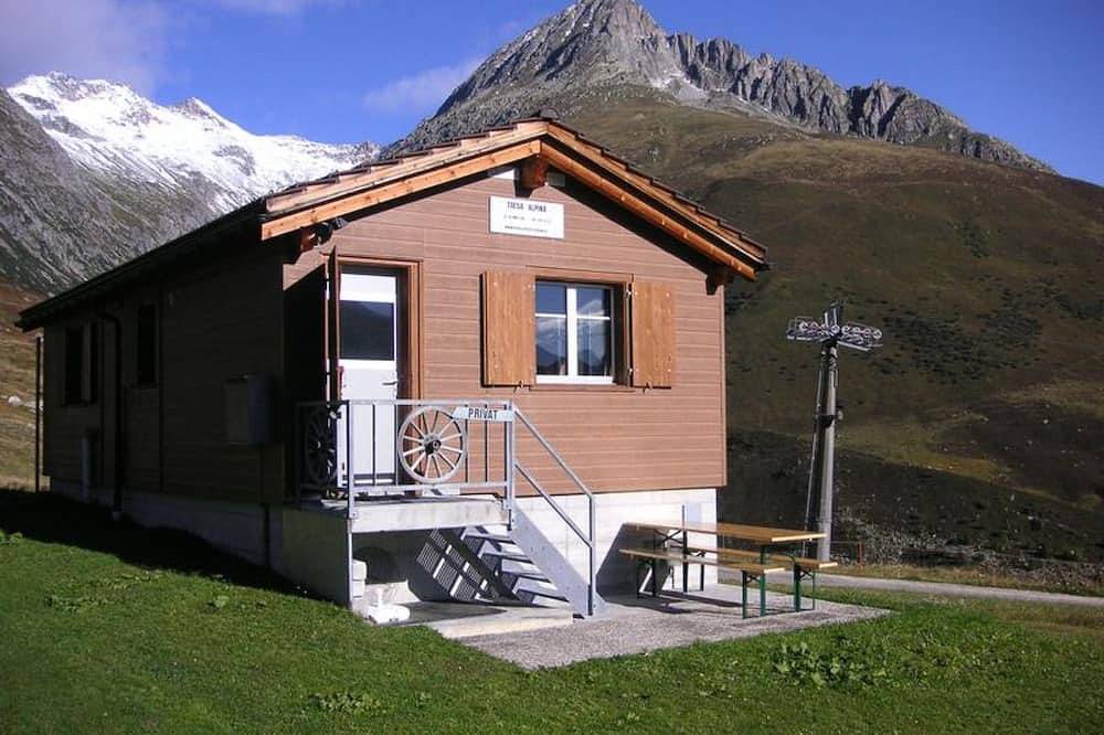 Ganze Wohnung, Tgèsa Alpina Müller, (Rueras/Sedrun), 956.01 in Tschamut, Tujetsch