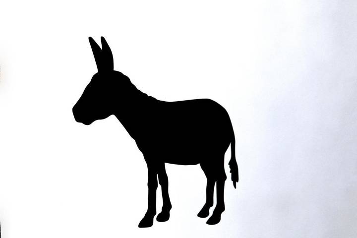 Location de vacances pour 4 personnes, avec terrasse à Viseu - 2