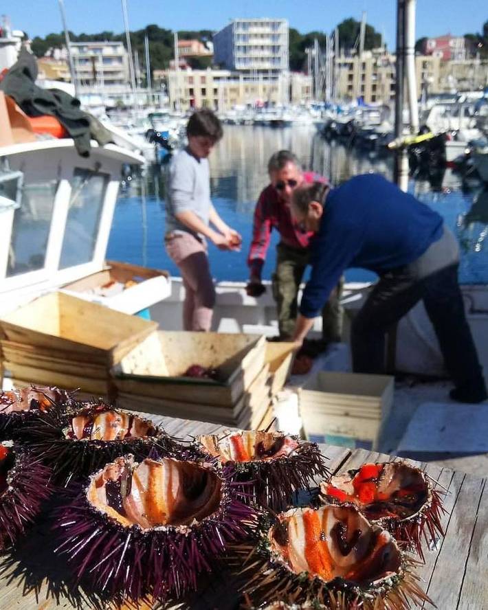 Gîte pour 4 personnes, avec balcon, animaux acceptés à Carry-le-Rouet - 4