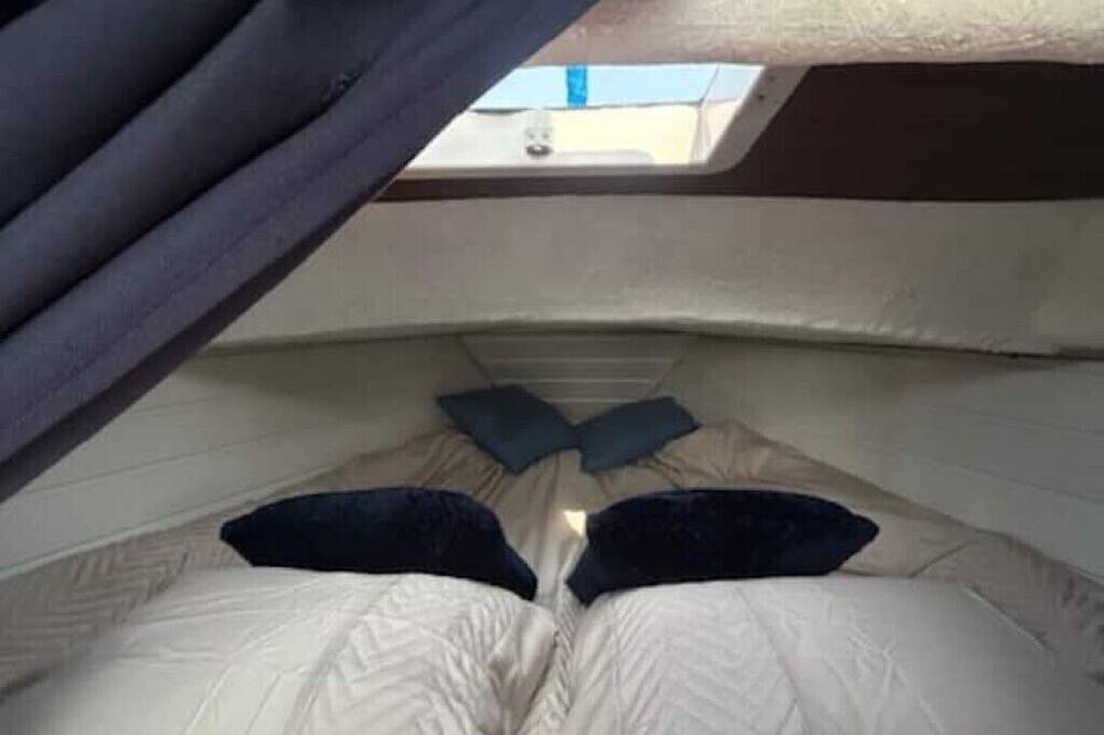 Unusual Overnight Sailing in Le Havre, Région du Havre