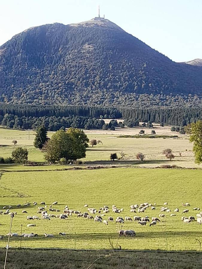 Appartement entier, A 5 mns du Puy de Dôme avec Vue imprenable Studio rez de jardin 24m2 neuf à Laschamps in Saint-Genès-Champanelle, Parc naturel régional des Volcans d'Auvergne
