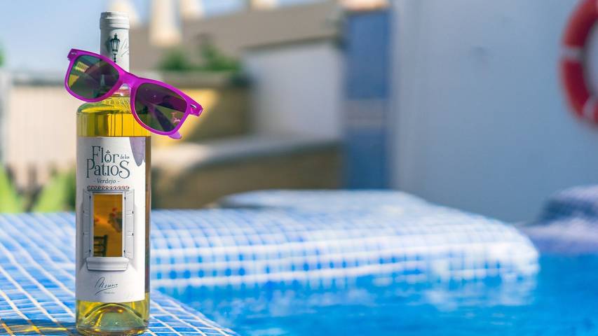 Chalet para 8 personas, con balcón/terraza además de piscina y jacuzzi, Se admiten mascotas en La Janda - 3