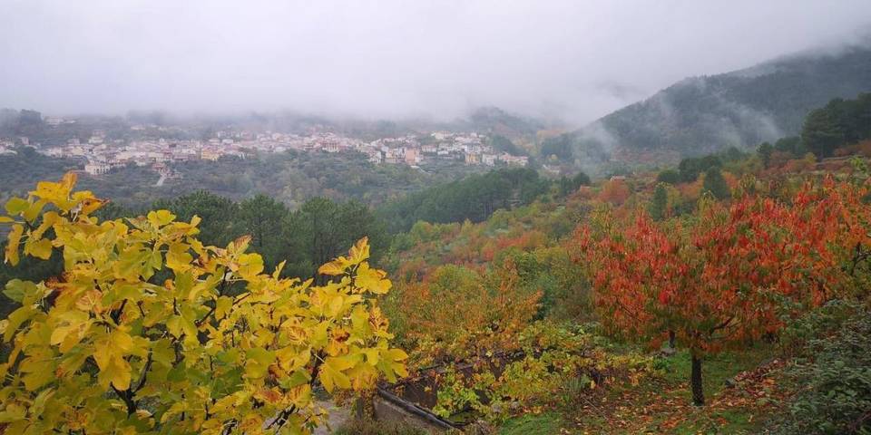 Casa de vacaciones para 10 personas, con terraza y vistas, Se admiten mascotas en Valle del Tiétar - 2