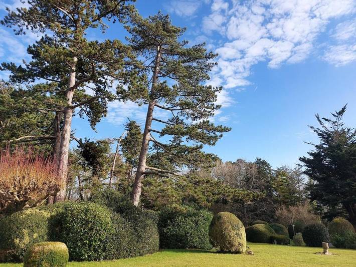 Location de vacances pour 3 personnes, avec vue ainsi que jardin et terrasse à Saint-Sauveur-le-Vicomte - 2