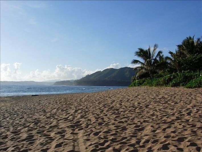 Bungalow for 5 people, with terrace and yard in Hawaii