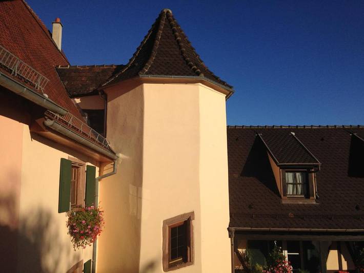 Location de vacances pour 4 personnes, avec vue et jardin à Gueberschwihr - 2