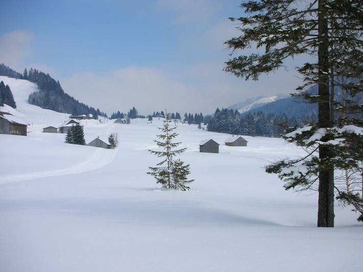 Ferienwohnung für 3 Personen, mit Garten und Terrasse in Bodensee-Vorarlberg - 4
